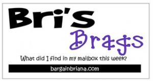brisbragsnew