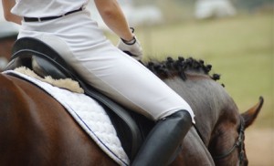 Horseback Riding