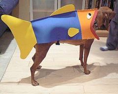 How-To-Turn-Your-Dog-Into-A-Fish-For-Halloween How-To-Turn-Your-Dog-Into-A-Fish-For-Halloween