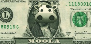Moola 300x146 Free Android App: Moola Personal Finance ($4.99 ARV)