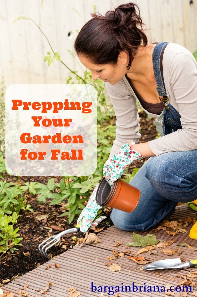 Prepping Your Garden For Fall Bargainbriana