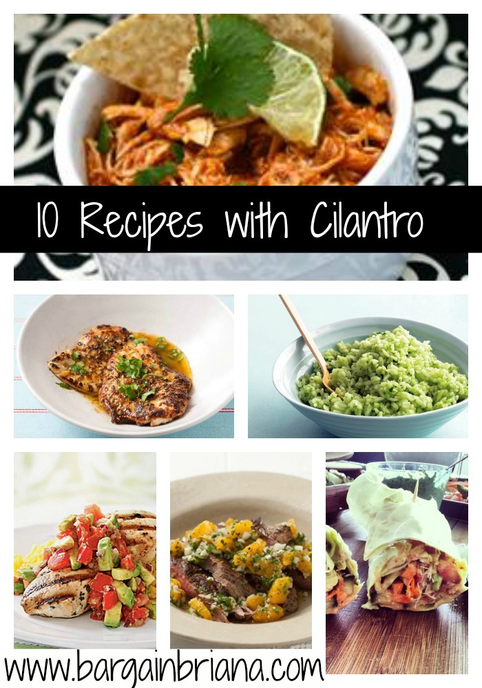 10 Recipes with Cilantro