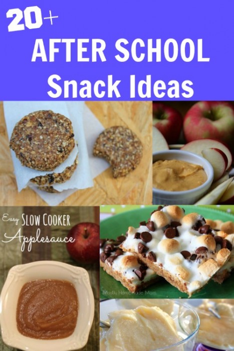 20+ After School Snack Ideas