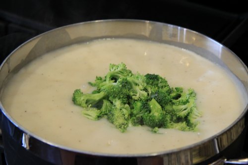 Broccoli Cheddar