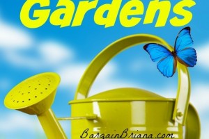 Budget Tips for Summer Gardens