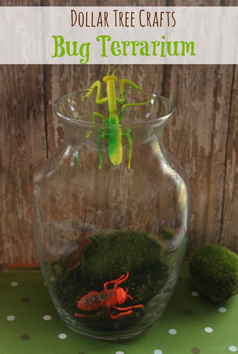 Bug Terrarium |Dollar Store Craft - BargainBriana