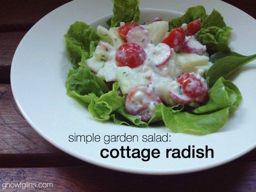 Cottage-Radish-Salad