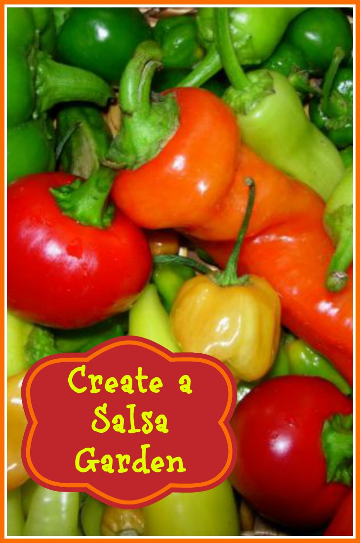 Create a Salsa Garden