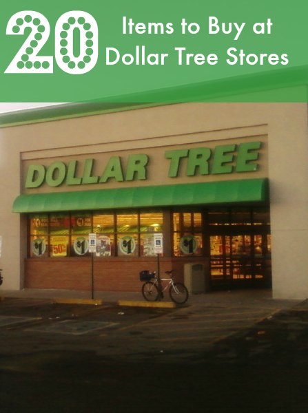 20 Items You Should be Buying at The Dollar Tree - BargainBriana