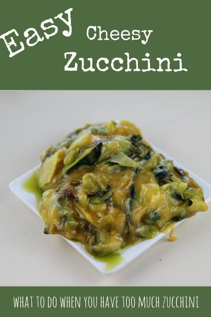 Easy Cheesy Zucchini Recipe