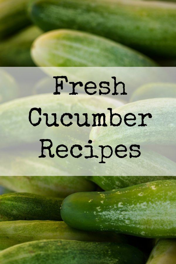 Fresh Cucumber Recipes