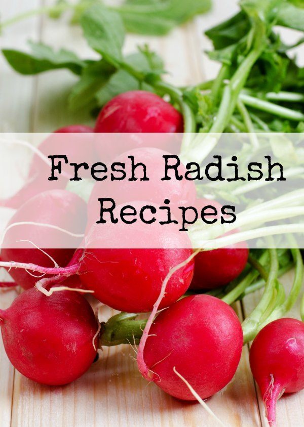 Fresh Radish Recipes