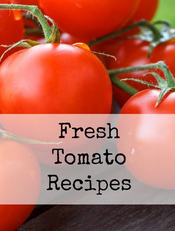 Fresh Tomato Recipes