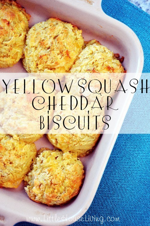 Fresh Yellow Squash Cheddar Biscuits