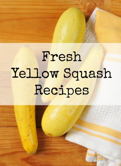 Using the Garden Veggies | Fresh Yellow Squash Recipes