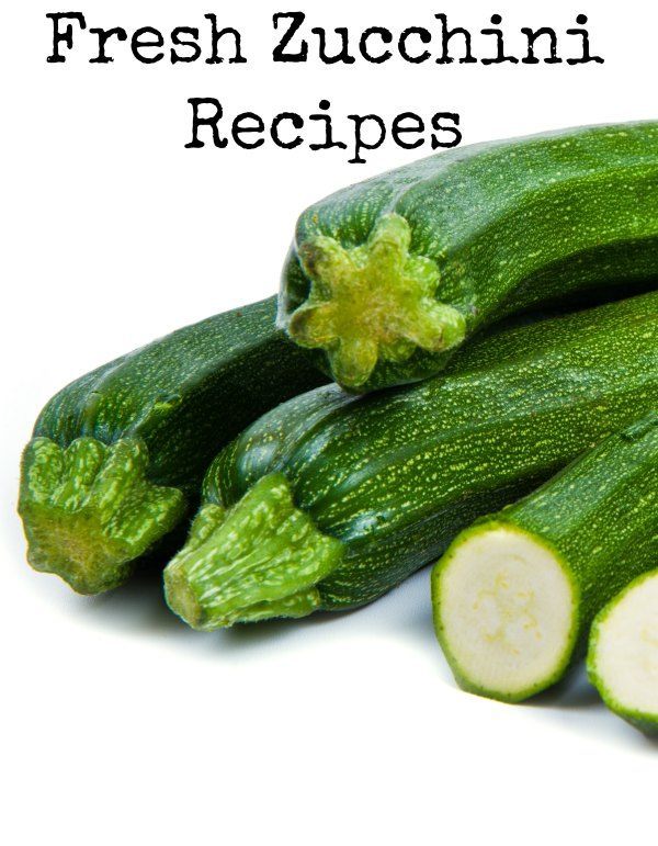 Using the Garden Veggies | Fresh Zucchini Recipes - BargainBriana