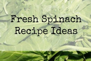Use Your Veggies - Fresh Spinach Recipe Ideas
