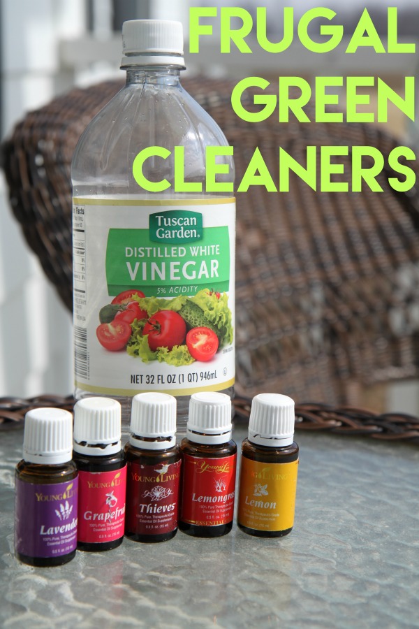 Frugal Green Cleaners