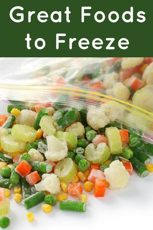 Great Foods to Freeze