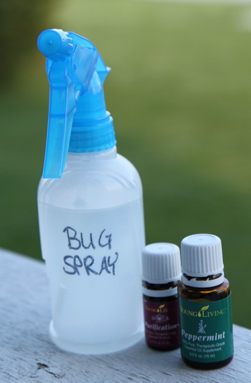 Homemade Bug Spray - No Chemicals