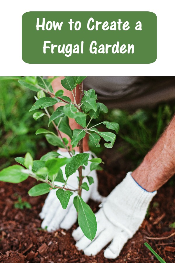 How to Create a Frugal Garden