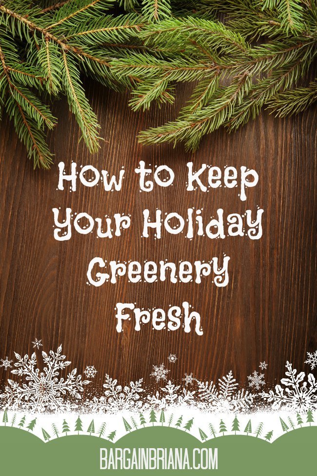 How to Keep Your Holiday Greenery Fresh