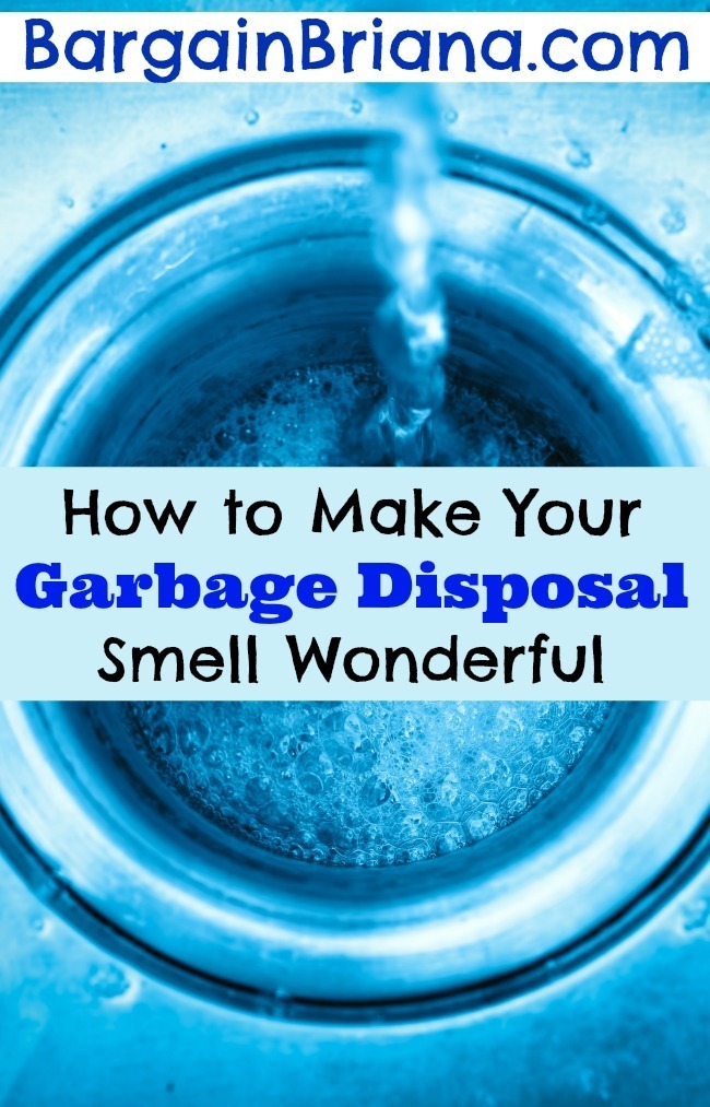 How to Make Your Garbage Disposal Smell Wonderful BargainBriana