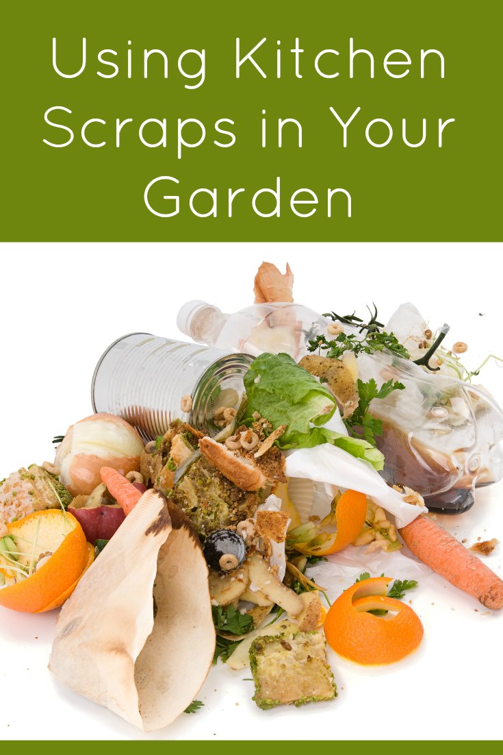 Using Kitchen Scraps in Your Garden - BargainBriana