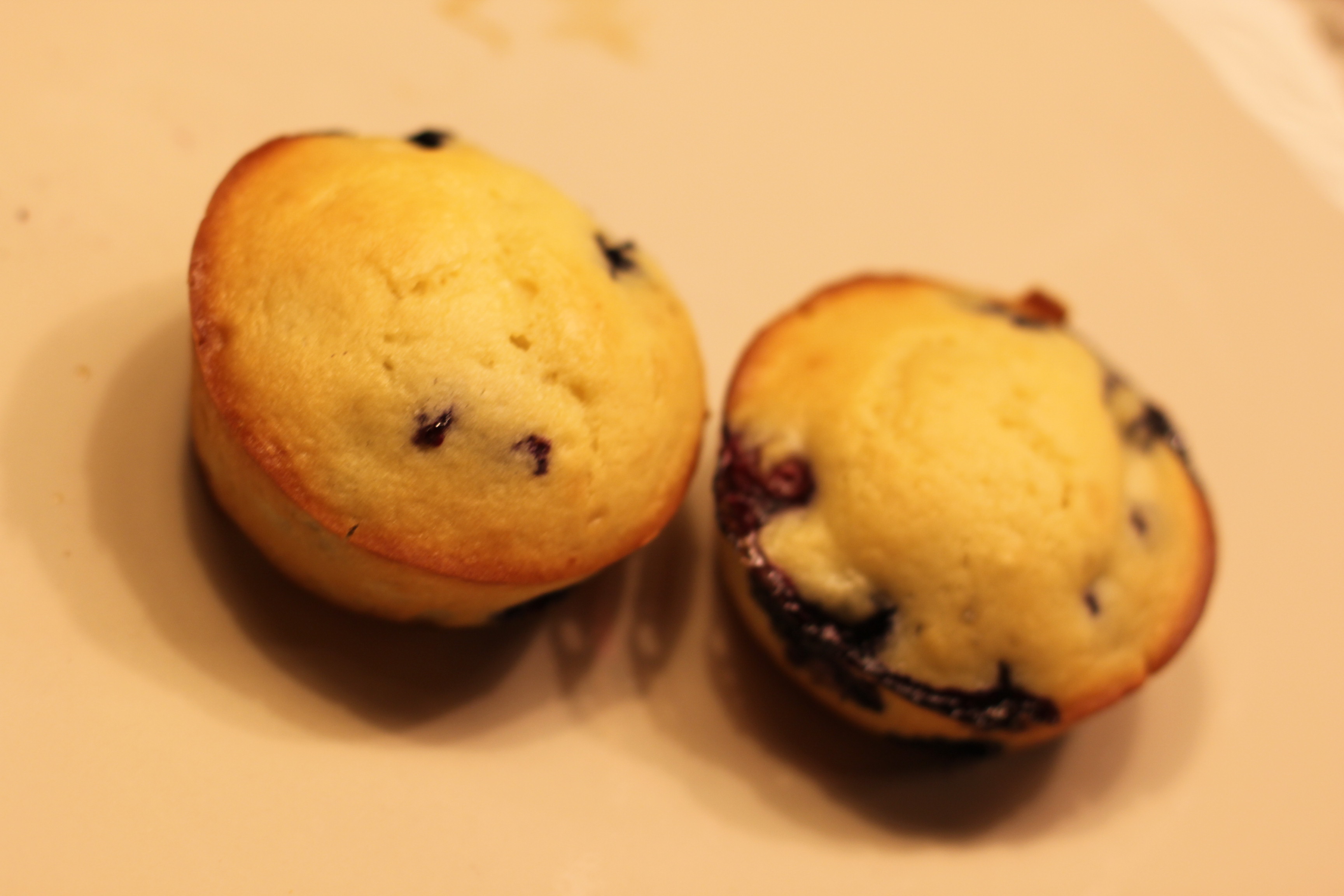 Blueberry Yogurt Muffins - BargainBriana