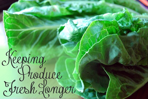 Keeping Produce Fresh Longer