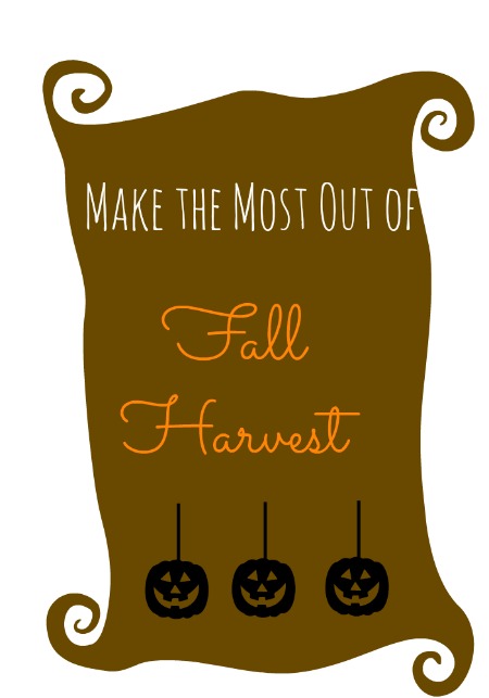 Make the Most Out of Fall Harvest