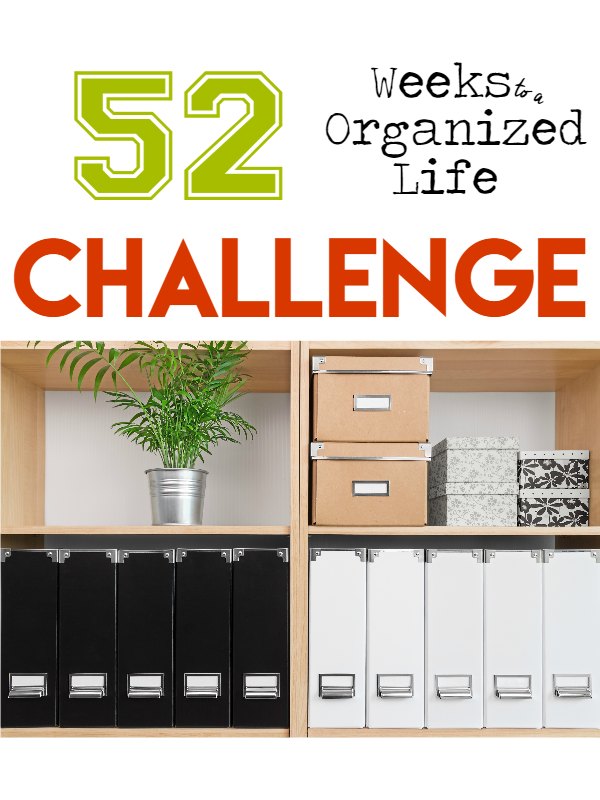 Organization Challenge