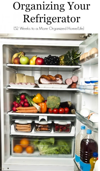 Organizing Your Refrigerator 52 Weeks To A More Organized Homelife Bargainbriana 5173