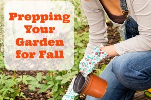 Prepping Your Garden for Fall