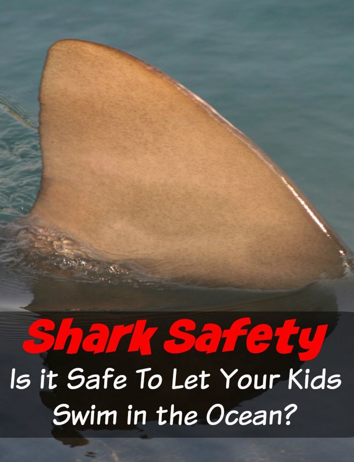Shark Safety - Is it Safe To Let Your Kids Swim in the Ocean