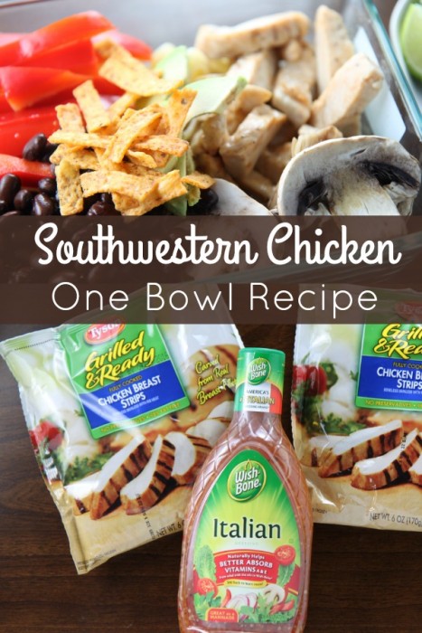 Southwestern Chicken One Bowl Recipe - Easy Weeknight Dinner for the Family