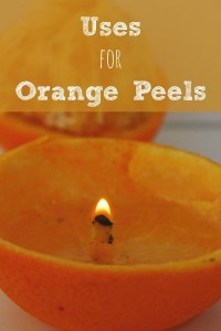 10 Uses for Orange Peels - BargainBriana