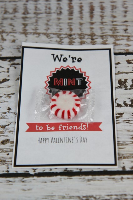 We are mint to be together valentine