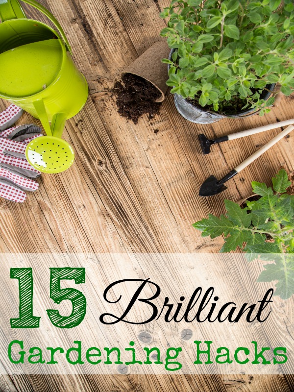 15 Brilliant Gardening Hacks #gardening