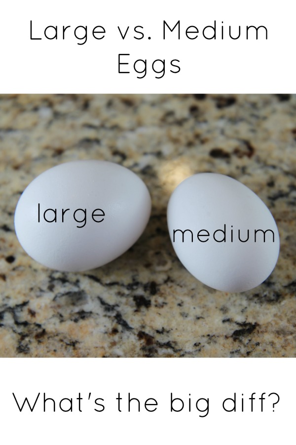 large vs medium egg difference